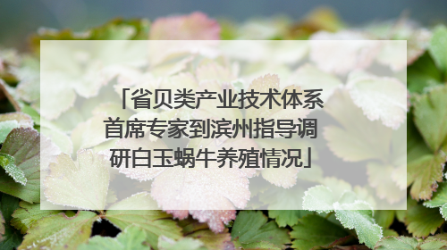 省贝类产业技术体系首席专家到滨州指导调研白玉蜗牛养殖情况