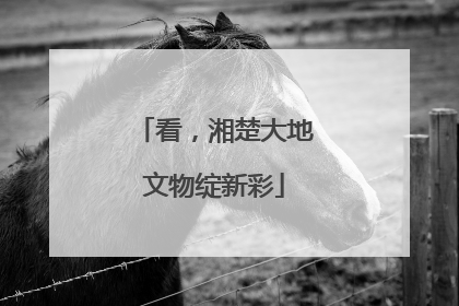 看，湘楚大地文物绽新彩