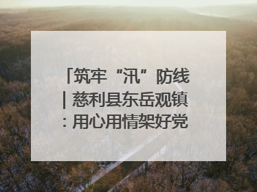 筑牢“汛”防线｜慈利县东岳观镇：用心用情架好党群温暖悠长的“连心桥”