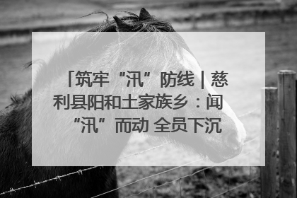 筑牢“汛”防线｜慈利县阳和土家族乡：闻“汛”而动 全员下沉筑牢防汛“安全堤”