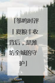 筝鸣时评丨夏粮丰收背后，是潍坊全城的守护