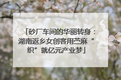 砂厂车间的华丽转身：湖南返乡女创客用苎麻“织”就亿元产业梦