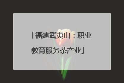 福建武夷山：职业教育服务茶产业