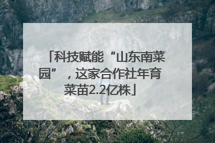 科技赋能“山东南菜园”，这家合作社年育菜苗2.2亿株