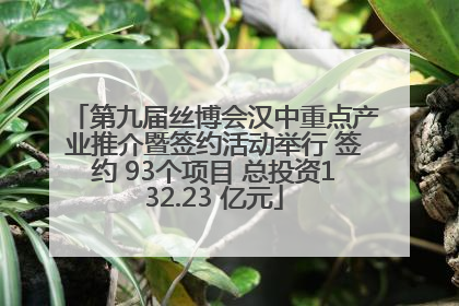 第九届丝博会汉中重点产业推介暨签约活动举行 签约 93个项目 总投资132.23 亿元