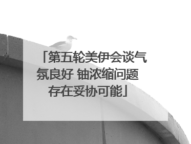 第五轮美伊会谈气氛良好 铀浓缩问题存在妥协可能