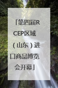 第四届RCEP区域（山东）进口商品博览会开幕