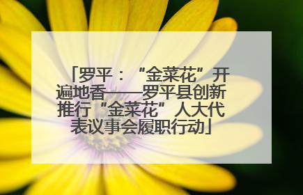 罗平：“金菜花”开遍地香——罗平县创新推行“金菜花”人大代表议事会履职行动