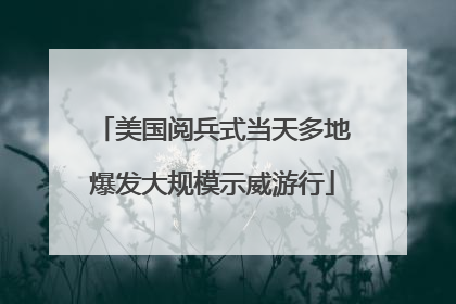 美国阅兵式当天多地爆发大规模示威游行