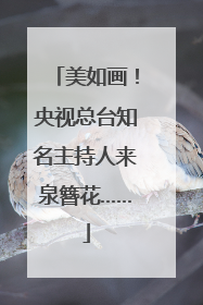 美如画！央视总台知名主持人来泉簪花……