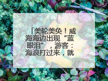 美轮美奂！威海海边出现“蓝眼泪”，游客：海浪打过来，就像星河一样