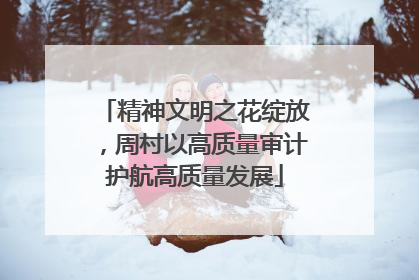 精神文明之花绽放，周村以高质量审计护航高质量发展