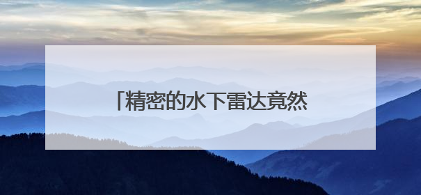 精密的水下雷达竟然就长在海豹脸上，科学家直呼“真香”！