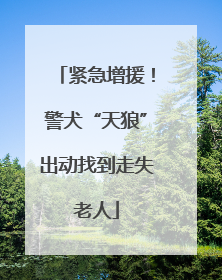 紧急增援！警犬“天狼”出动找到走失老人