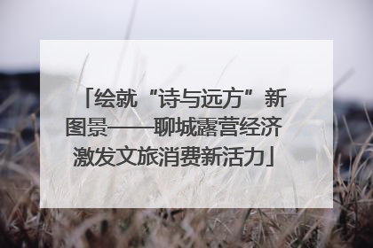 绘就“诗与远方”新图景——聊城露营经济激发文旅消费新活力