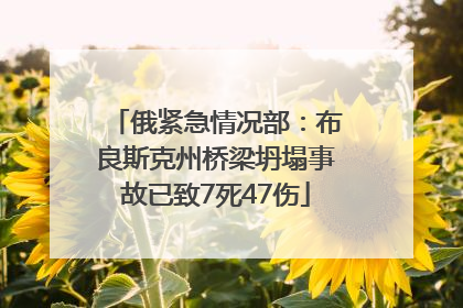 俄紧急情况部：布良斯克州桥梁坍塌事故已致7死47伤
