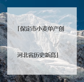 保定市小麦单产创河北省历史新高