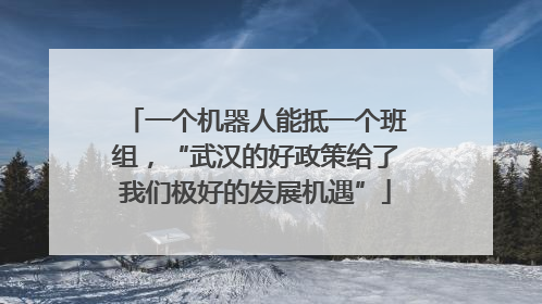 一个机器人能抵一个班组，“武汉的好政策给了我们极好的发展机遇”