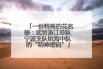 一份特殊的花名册：武警浙江总队宁波支队镇海中队的“精神密码”