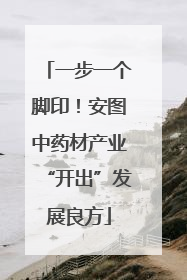 一步一个脚印！安图中药材产业“开出”发展良方