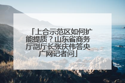 上合示范区如何扩能提质？山东省商务厅副厅长张庆伟答央广网记者问