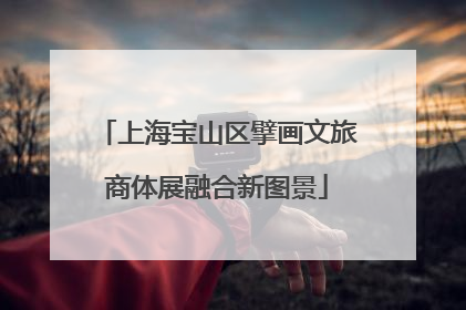 上海宝山区擘画文旅商体展融合新图景