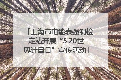 上海市电能表强制检定站开展“5·20世界计量日”宣传活动