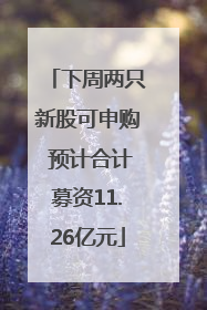下周两只新股可申购 预计合计募资11.26亿元