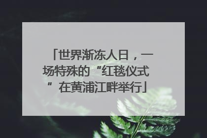 世界渐冻人日，一场特殊的“红毯仪式”在黄浦江畔举行