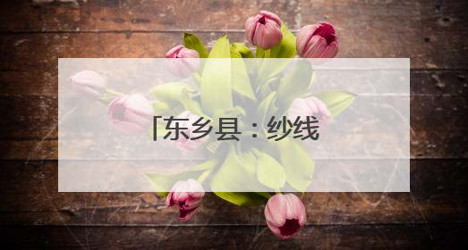 东乡县：纱线编织致富路