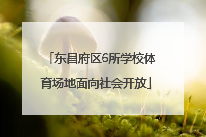 东昌府区6所学校体育场地面向社会开放