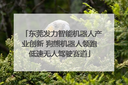 东莞发力智能机器人产业创新 狗熊机器人领跑低速无人驾驶赛道