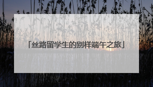 丝路留学生的别样端午之旅