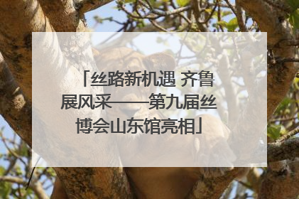 丝路新机遇 齐鲁展风采——第九届丝博会山东馆亮相