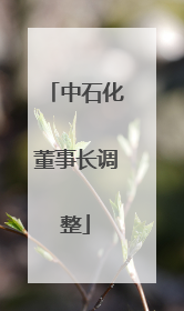 中石化董事长调整