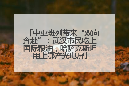 中亚班列带来“双向奔赴”：武汉市民吃上国际粮油，哈萨克斯坦用上鄂产光电屏