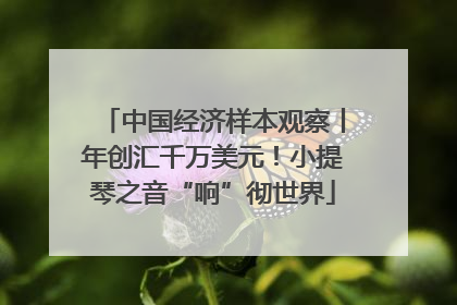 中国经济样本观察丨年创汇千万美元！小提琴之音“响”彻世界