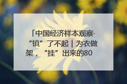 中国经济样本观察·“镇”了不起｜为衣做架，“挂”出来的80亿元“衣架产业”