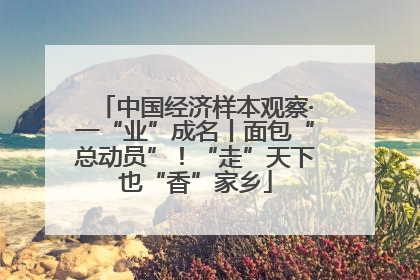 中国经济样本观察·一“业”成名丨面包“总动员”！“走”天下也“香”家乡