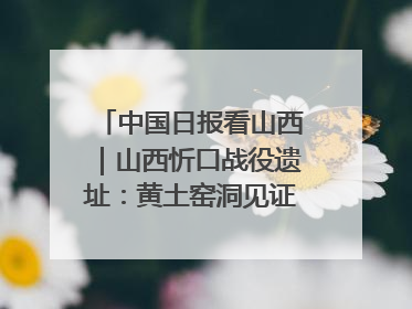 中国日报看山西｜山西忻口战役遗址：黄土窑洞见证全民抗战记忆