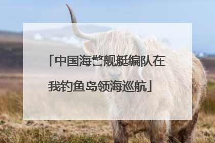 中国海警舰艇编队在我钓鱼岛领海巡航