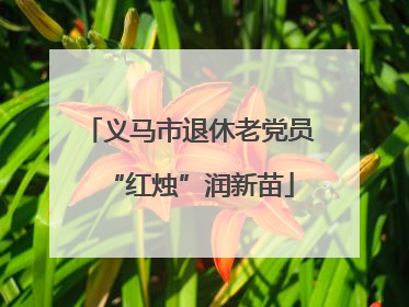 义马市退休老党员“红烛”润新苗