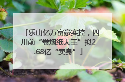 乐山亿万富豪实控，四川前“卷烟纸大王”拟2.68亿“卖身”