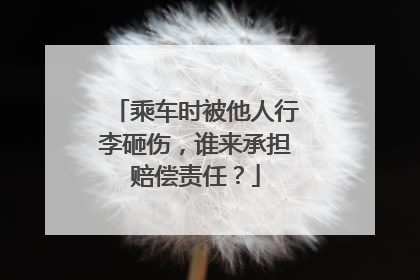 乘车时被他人行李砸伤，谁来承担赔偿责任？