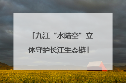 九江“水陆空”立体守护长江生态链
