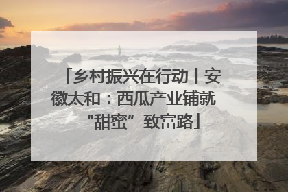 乡村振兴在行动丨安徽太和：西瓜产业铺就“甜蜜”致富路