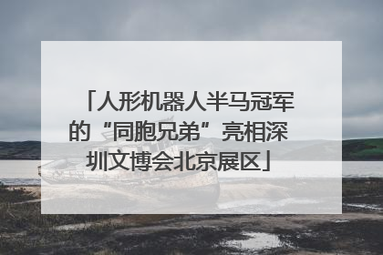人形机器人半马冠军的“同胞兄弟”亮相深圳文博会北京展区