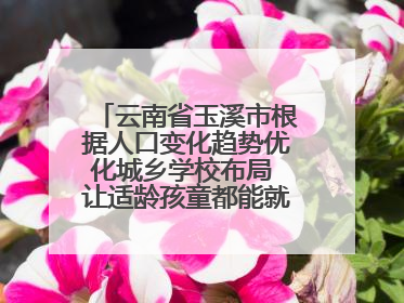 云南省玉溪市根据人口变化趋势优化城乡学校布局 让适龄孩童都能就近就便上好学