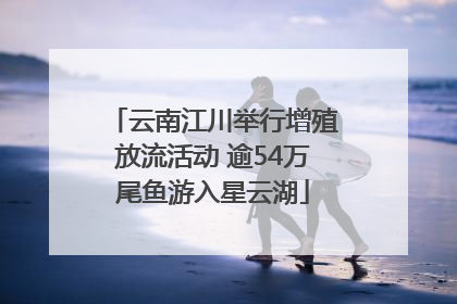云南江川举行增殖放流活动 逾54万尾鱼游入星云湖