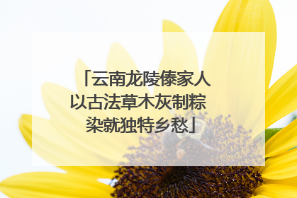 云南龙陵傣家人以古法草木灰制粽 染就独特乡愁